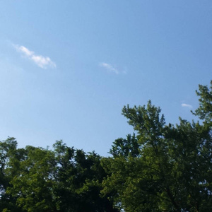 人体裸体BBBBB欣赏
