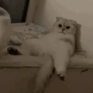 人体裸体BBBBB欣赏
