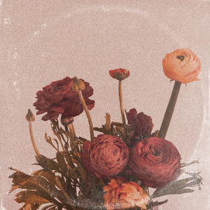 人体裸体BBBBB欣赏
