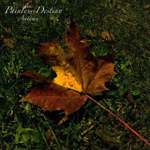 人体裸体BBBBB欣赏
