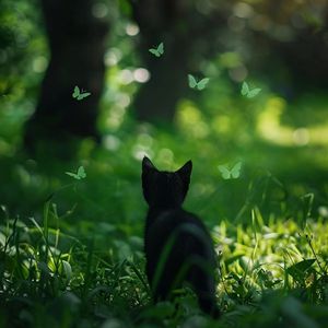 人体裸体BBBBB欣赏
