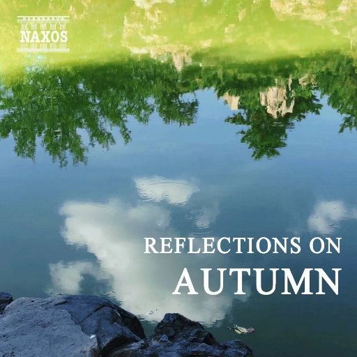 人体裸体BBBBB欣赏
